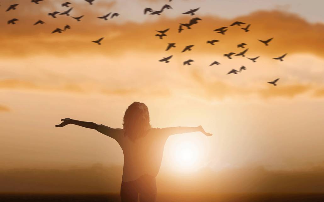 girl's arms raise in sky birds sunset